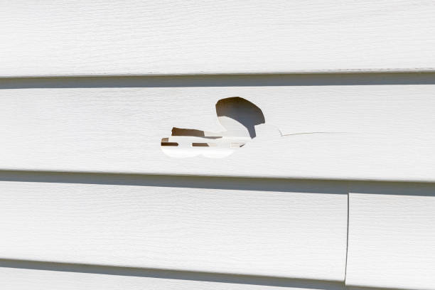 Best Furniture Removal  in Negaunee, MI