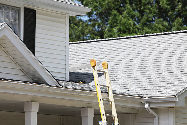 Best Hoarding Cleanup  in Negaunee, MI